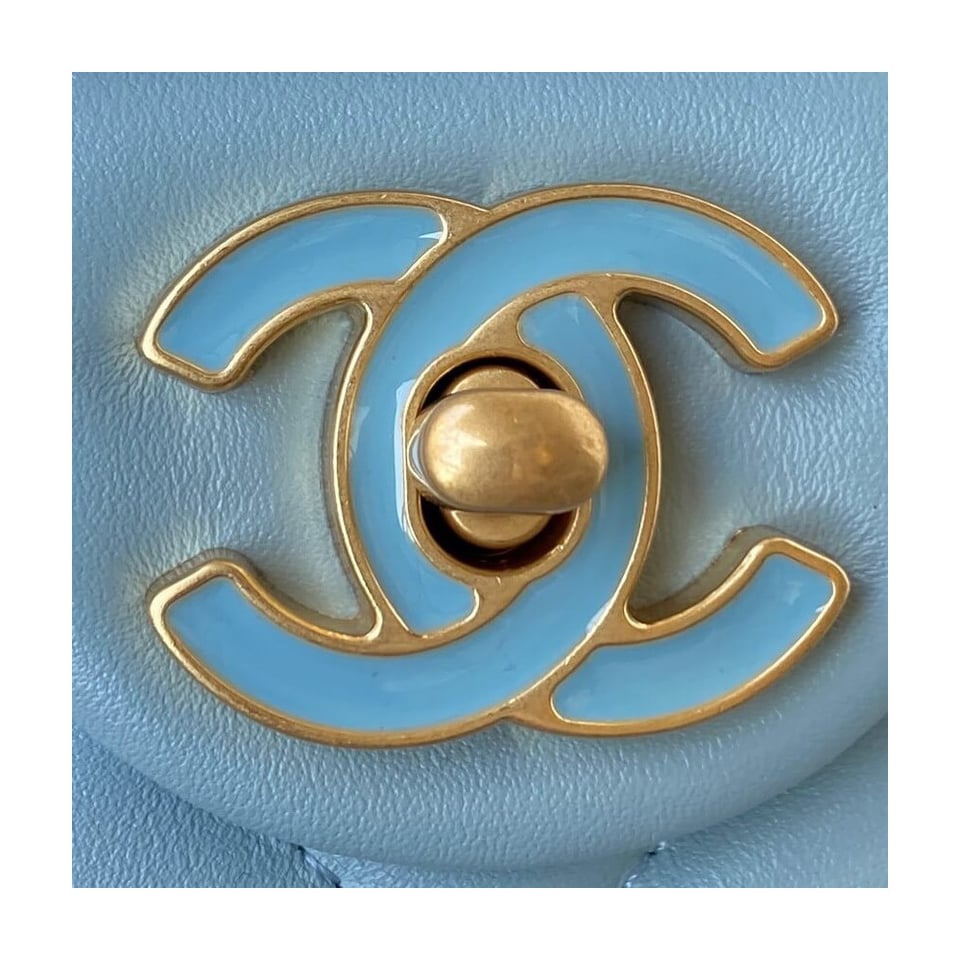 Chanel Small Flap Bag in Lambskin with Enamel CC view 4