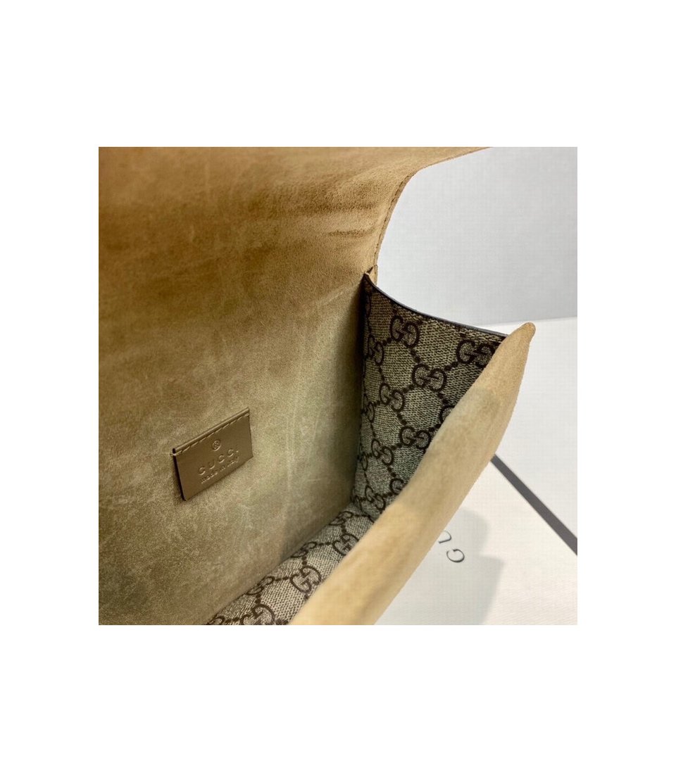 Gucci Dionysus GG Supreme Mini Bag Apricot view 14