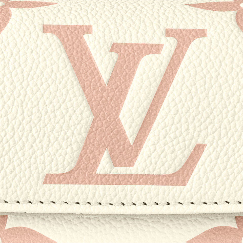 Louis Vuitton Wallet On Chain Ivy M83026 view 5
