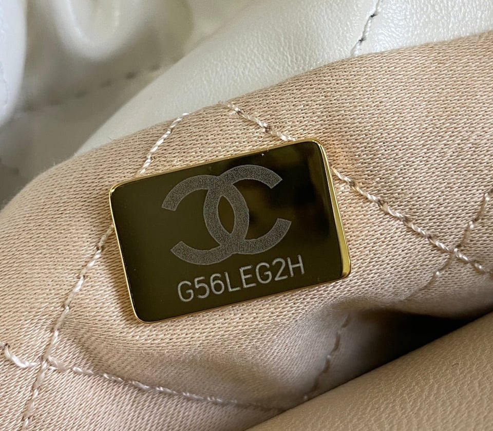 Chanel Hobo Mini 20Cm White Lambskin Ghw view 8