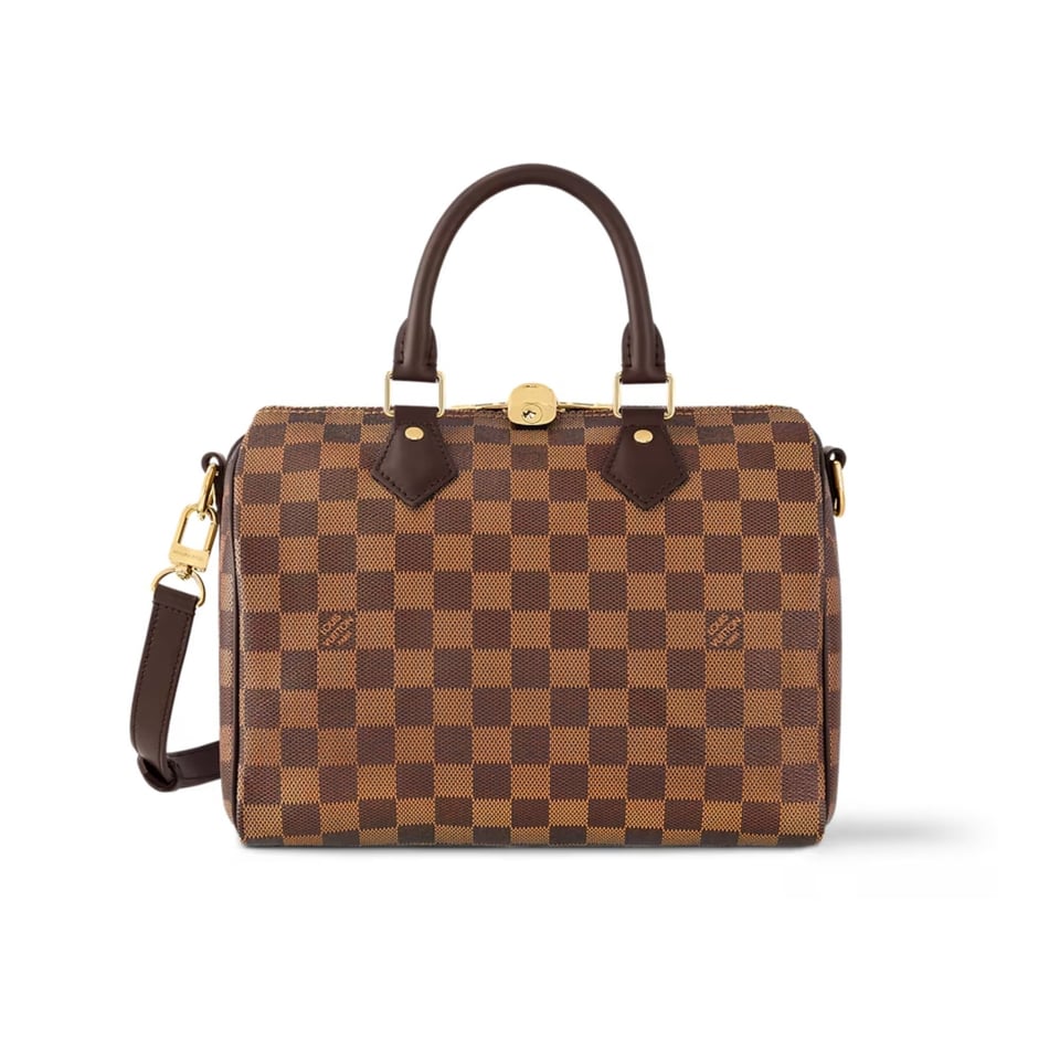 Louis Vuitton Speedy Bandouliere 25 Damier Ebene Canvas 25cm N40575 view 2