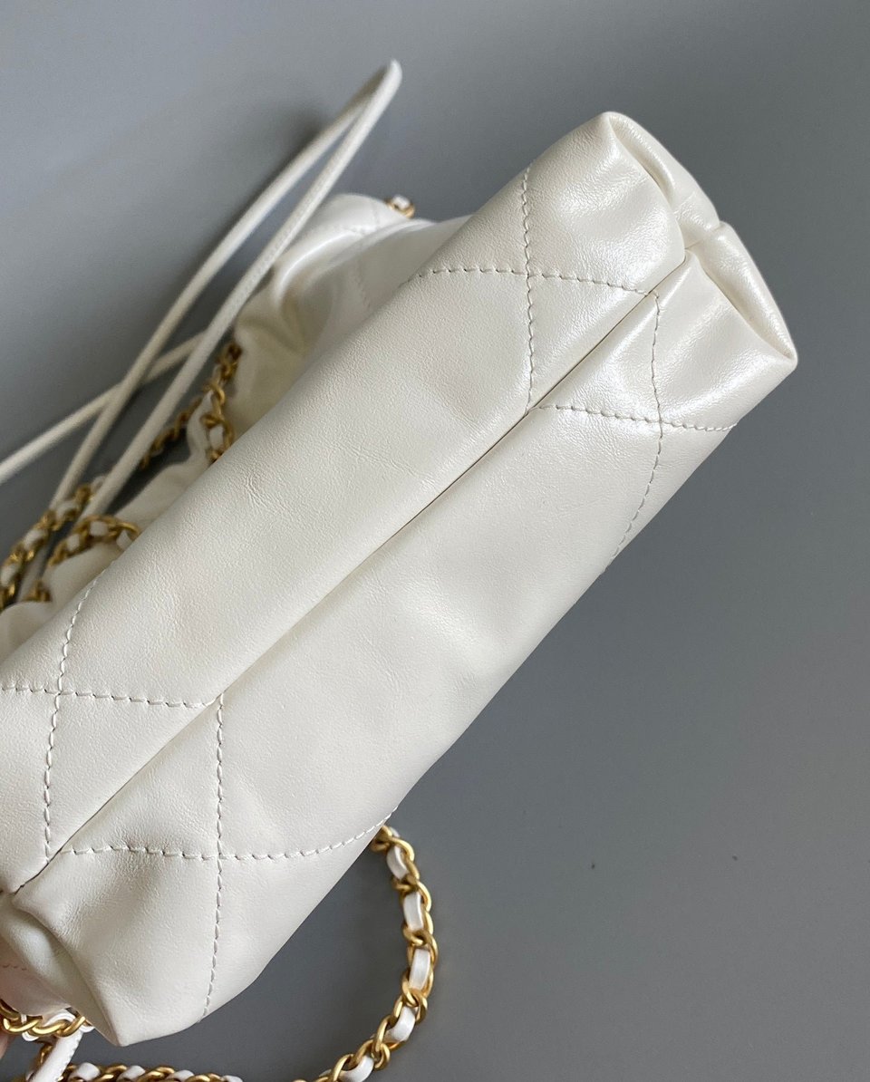 Chanel Hobo Mini 20Cm White Lambskin Ghw view 10