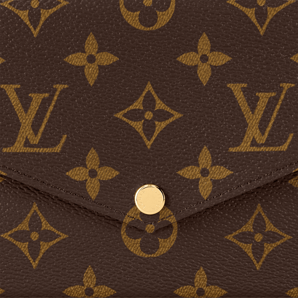 Louis Vuitton Félicie Pochette Lv Monogram Chain Bag Monogram 61276 21cm/8.3in view 13