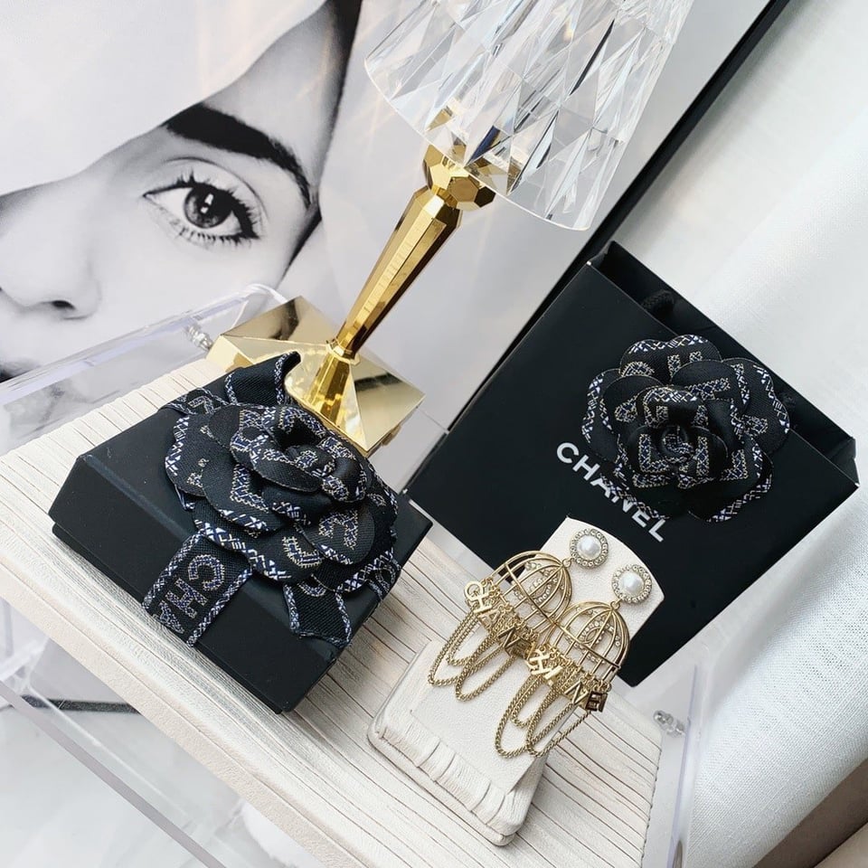 Chanel Birdcage Golden Earrings view 6