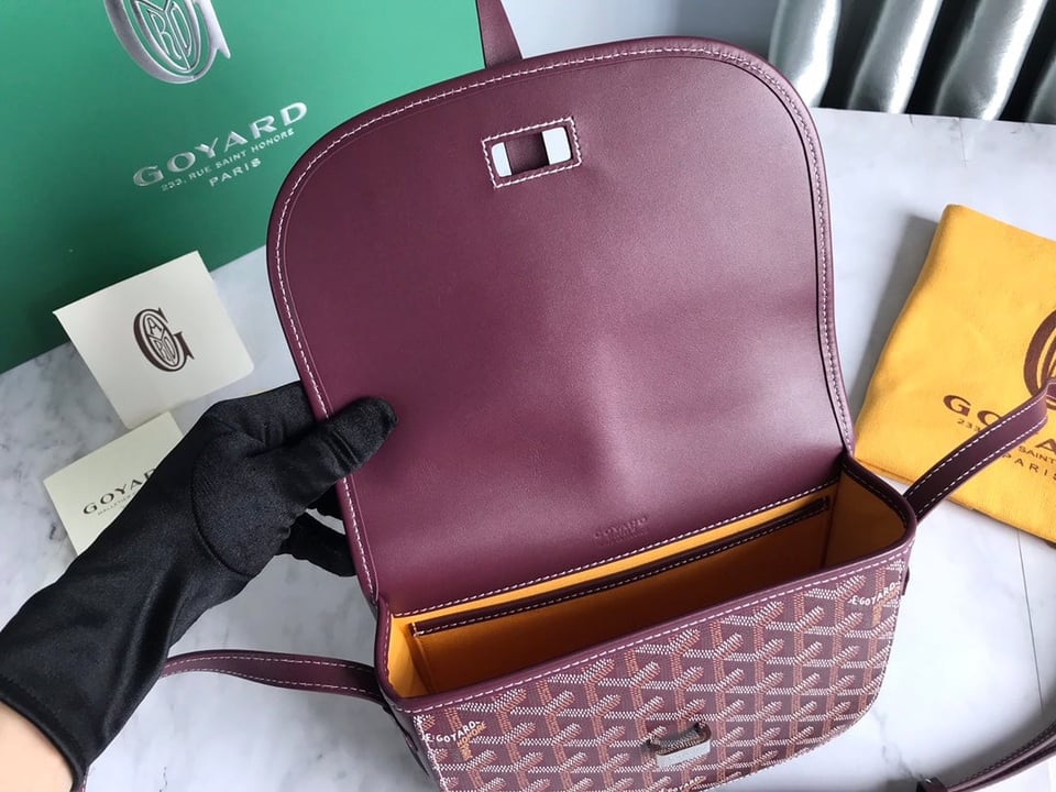 Goyard Belvedere Pm Bag 21Cm Burgundy Canvas view 9