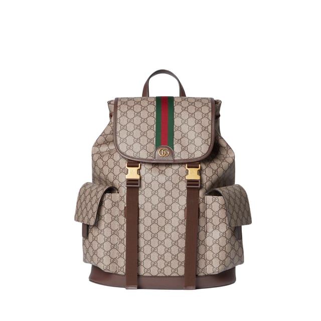 Gucci Ophidia Large Backpack 839110 Beige And Dark Brown 35cm/13.8in