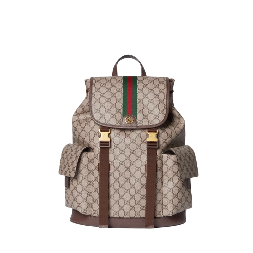 Gucci Ophidia Large Backpack 839110 Beige And Dark Brown 35cm/13.8in