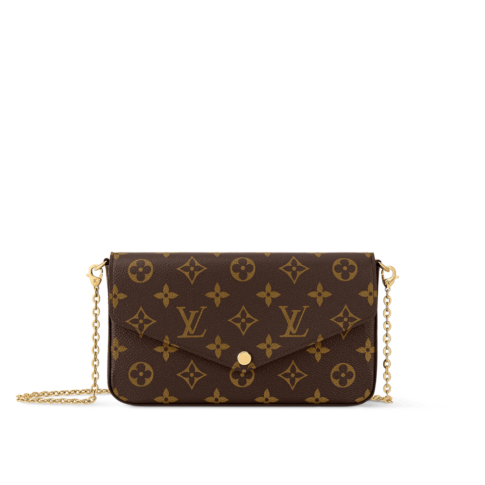 Louis Vuitton Félicie Pochette Lv Monogram Chain Bag Monogram 61276 21cm/8.3in view 2