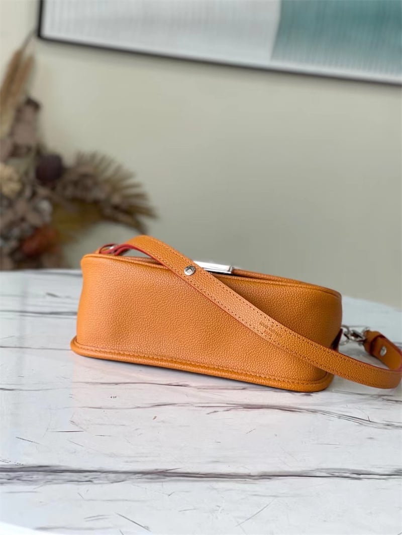 Louis Vuitton Buci 24Cm Brown view 7