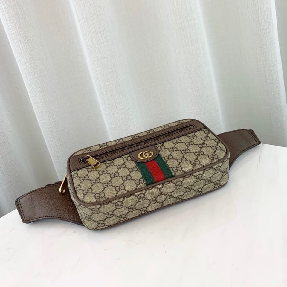 Gucci Ophidia GG Belt Bag view 11