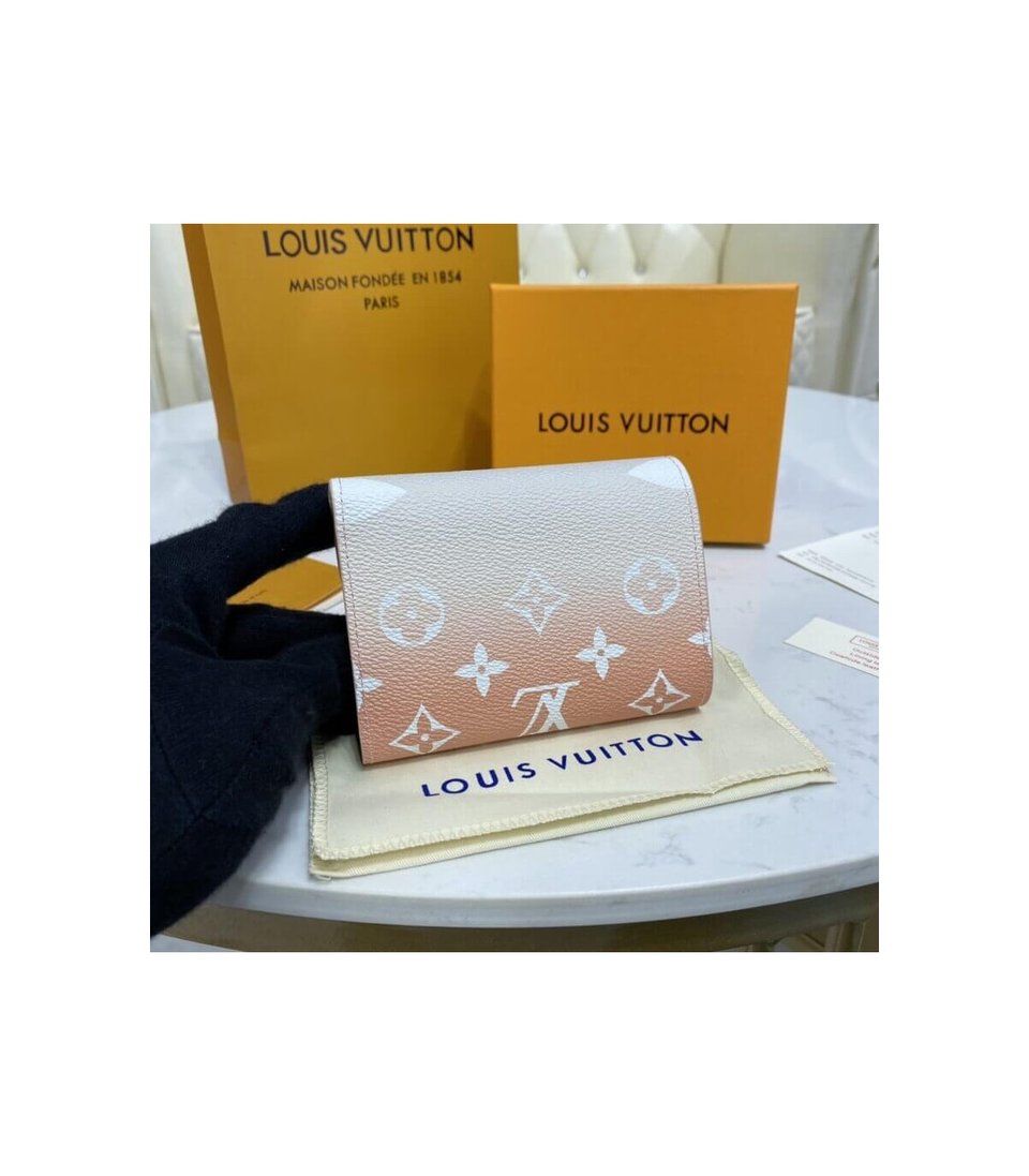 Louis Vuitton Victorine Wallet Mist Gray view 4