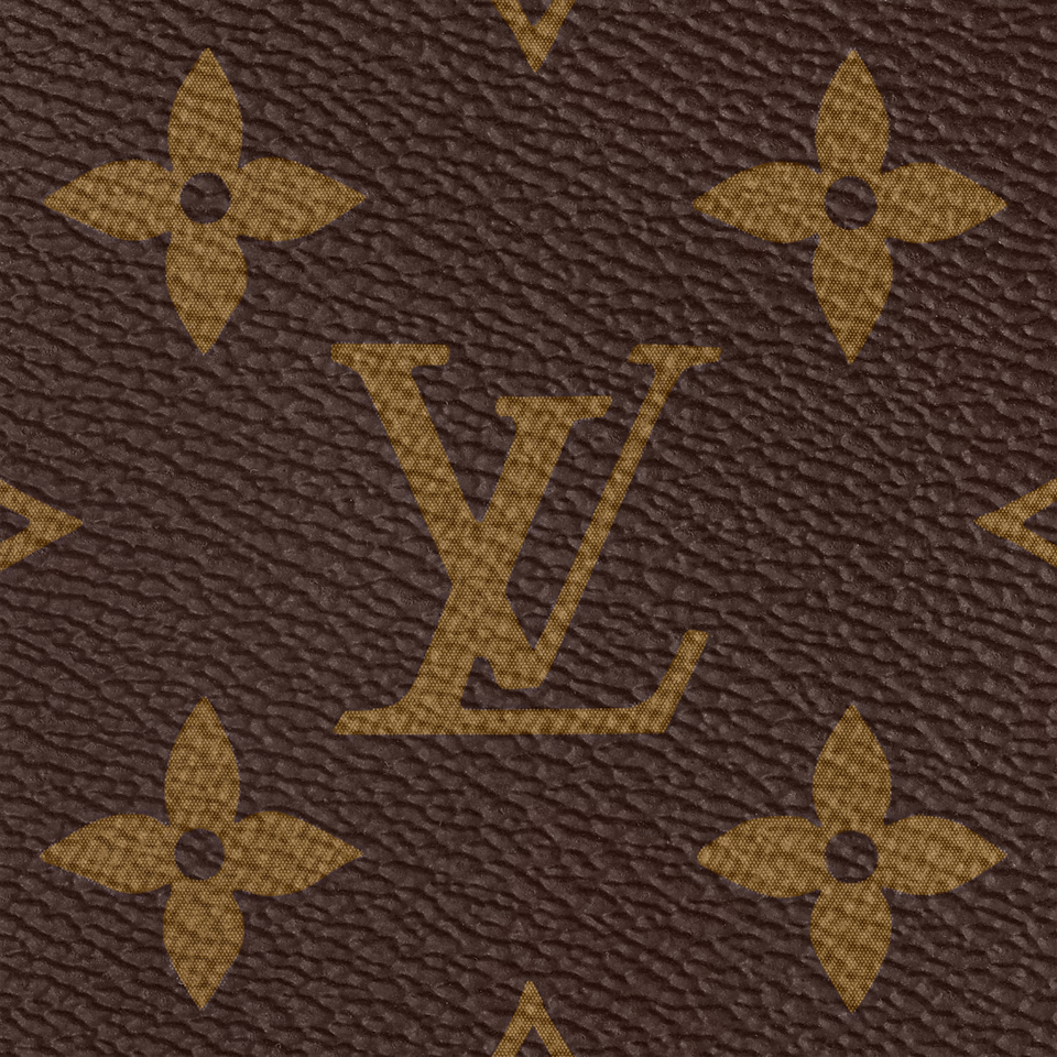 Louis Vuitton Speedy Bandouliere 25 Monogram Canvas 25cm view 15