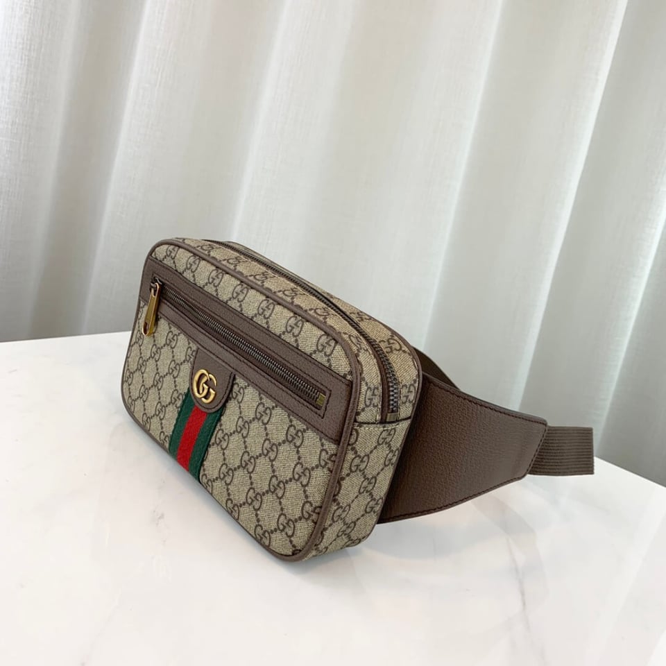 Gucci Ophidia GG Belt Bag view 7
