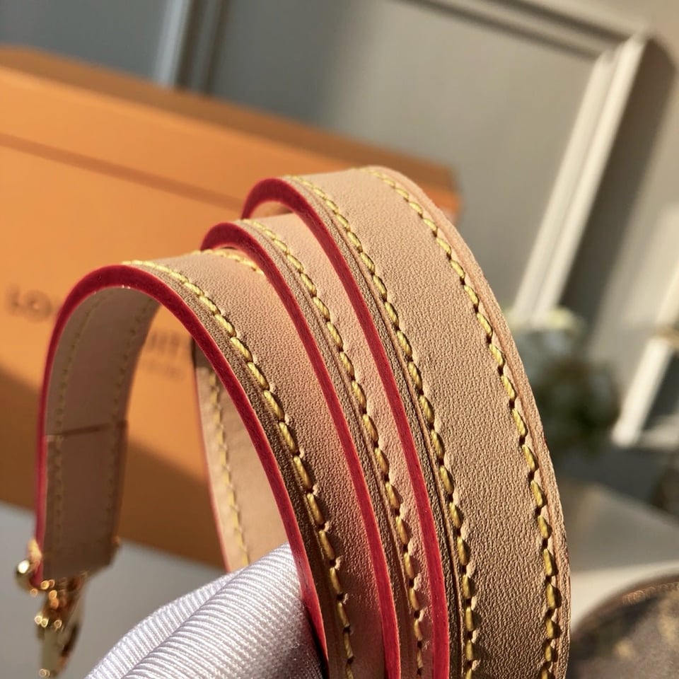 Louis Vuitton Alma Pm 32Cm view 9