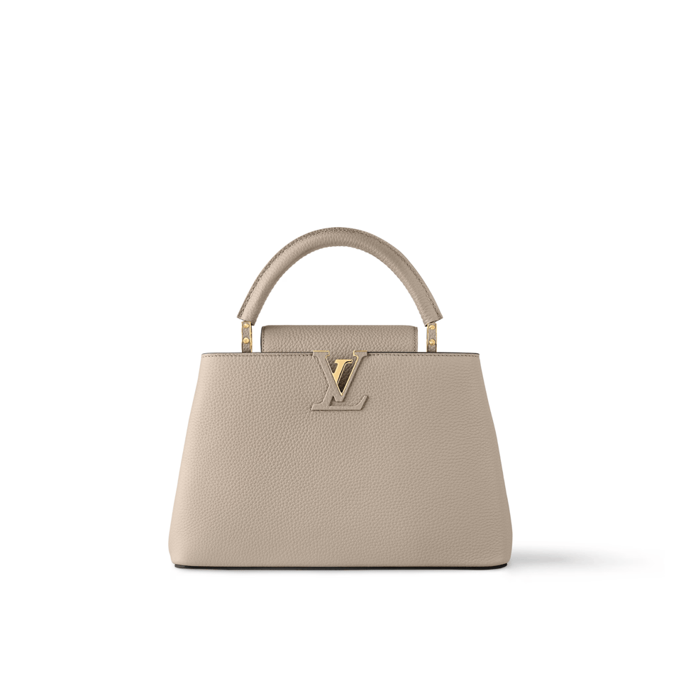 Louis Vuitton Capucines Mm Grey view 2