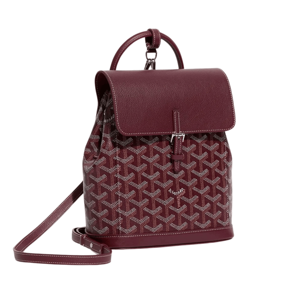 Goyard Alpin Mini Backpack 21 Cm Wine Red Lambskin And Goyardine Canvas view 2