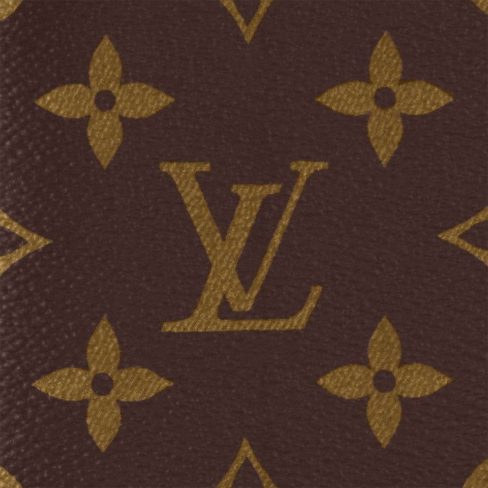 Louis Vuitton Brazza Wallet M66540 view 7