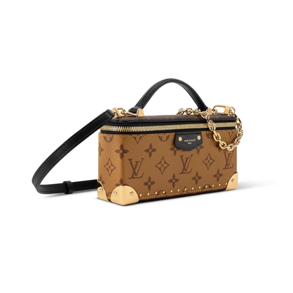 Louis Vuitton Vanity Pouch Trunk 20cm M29548 view 3