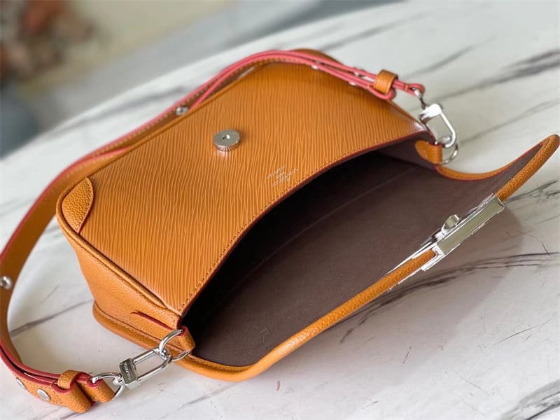 Louis Vuitton Buci 24Cm Brown view 6