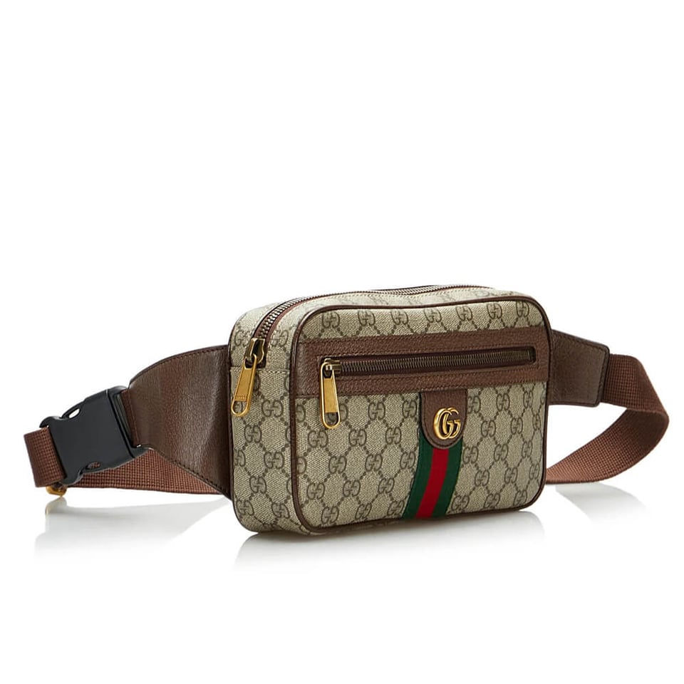 Gucci Ophidia GG Belt Bag view 2