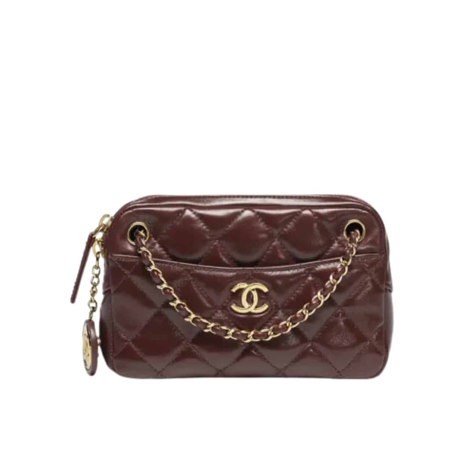 Chanel Mini Camera Case Dark Brown 18Cm/7.1in As5190 B18306 Nzv43