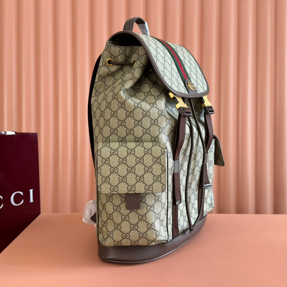 Gucci Ophidia Large Backpack 839110 Beige And Dark Brown 35cm/13.8in view 4