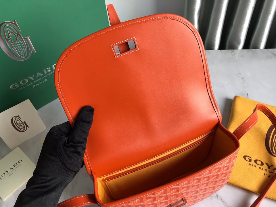 Goyard Belvedere Mm Bag 28Cm Orange Canvas view 11