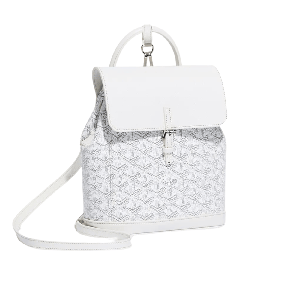 Goyard Alpin Mini Backpack 21 Cm White Lambskin And Goyardine Canvas view 2