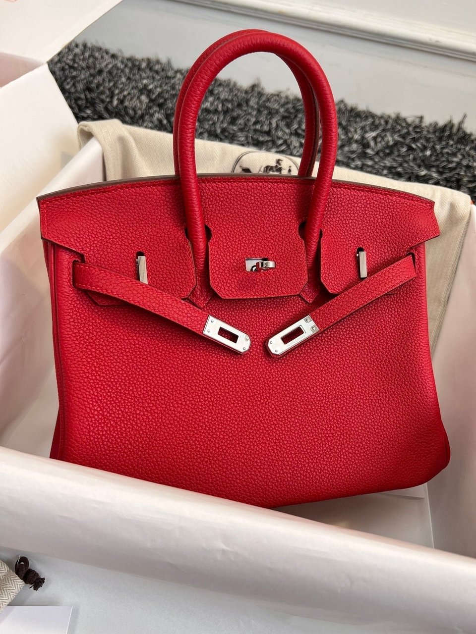 Hermes Birkin 25Cm Red Togo Leather Silver Hardware view 5