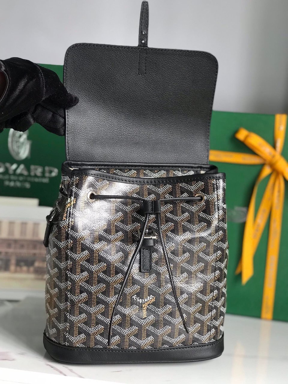 Goyard Alpin Mini Backpack 21cm Black Lambskin And Goyardine Canvas view 5