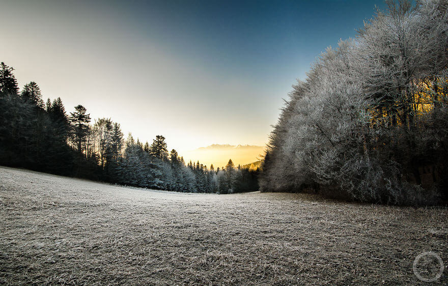 Pieniny Ulusal Parkı