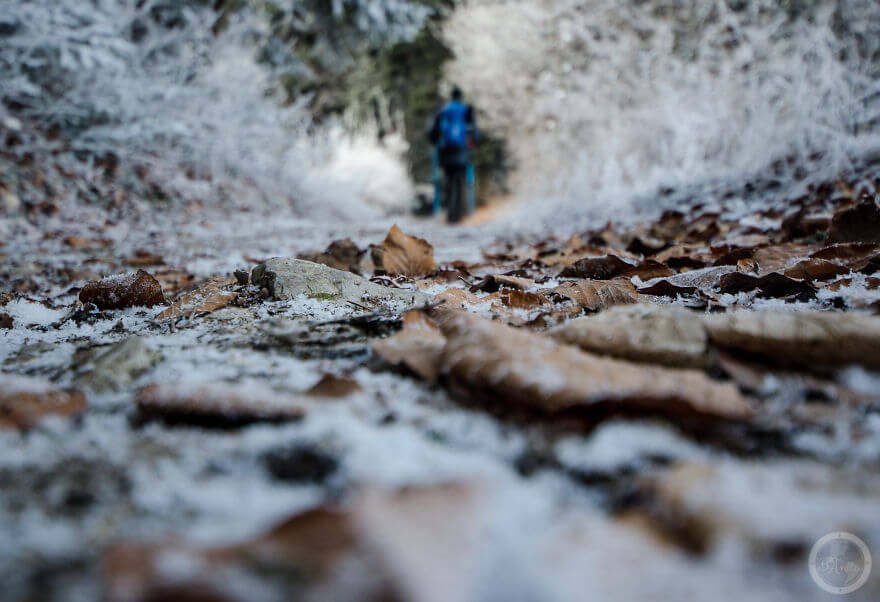 Pieniny Ulusal Parkı