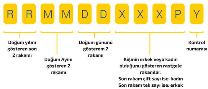 pesel numarası