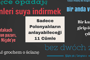 lehçe eğitim