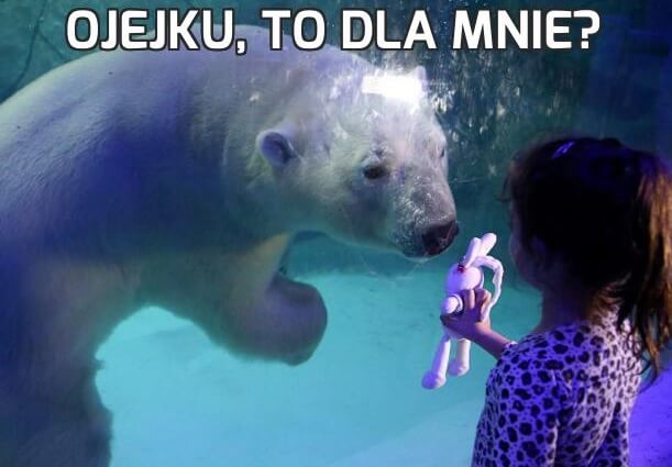 Lehçe kelimeler