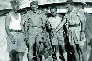 ayı wojtek