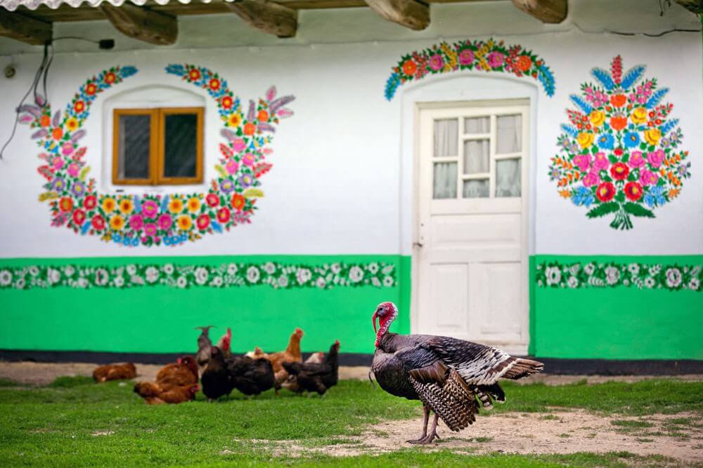 Polonya'nın en güzel köyü