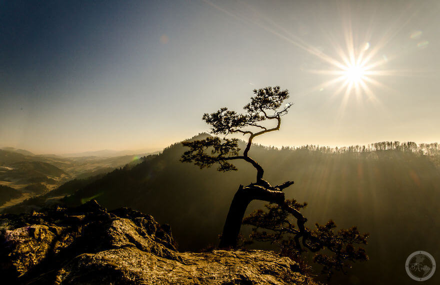 Pieniny Ulusal Parkı