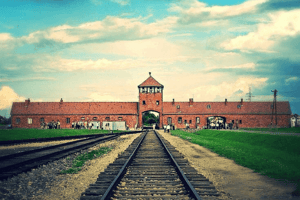auschwitz birkenau nazi toplama kampı