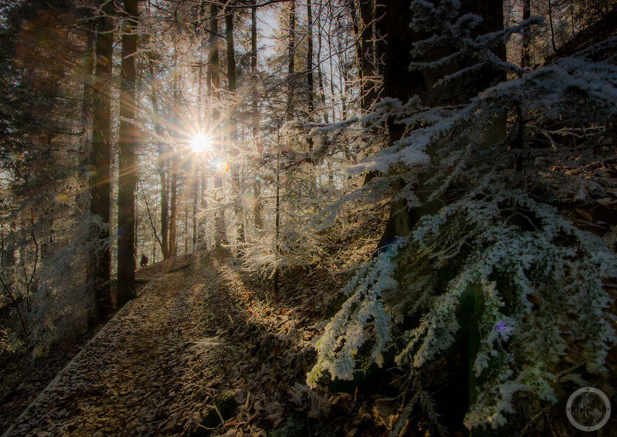 Pieniny Ulusal Parkı