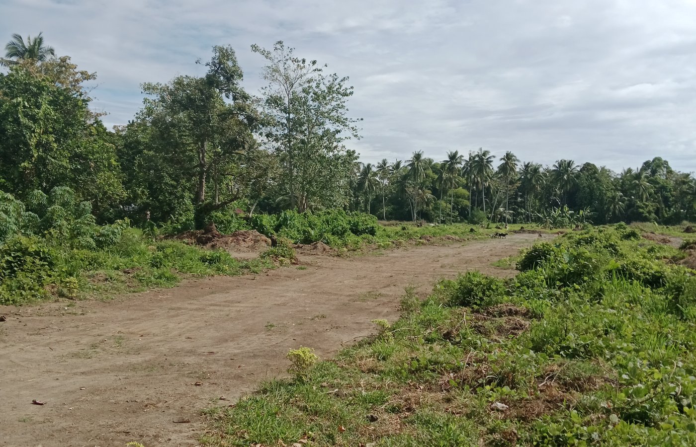 Lot for Sale or Installment