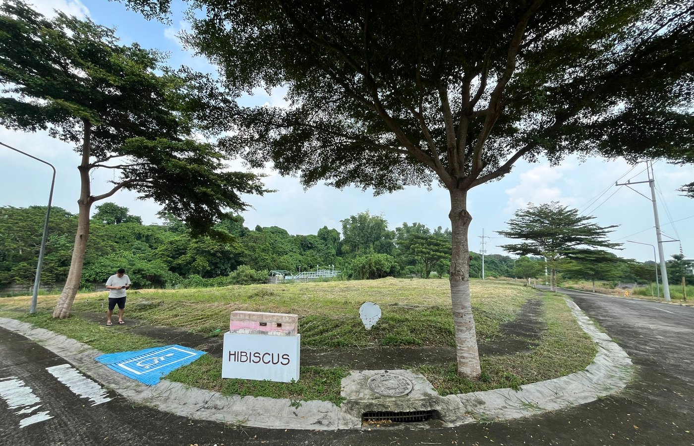 Photo 2 of 10 — Residential lot for sale, Racha Mansions, South Forbes, Silang