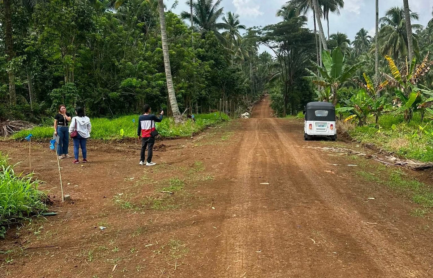 Mini Farm Lot for Sale or Installment