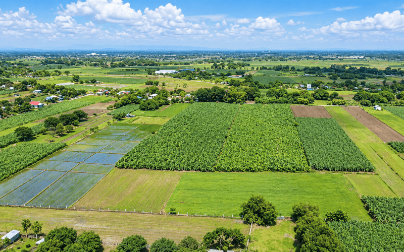 Lot for Sale in Pura, Tarlac