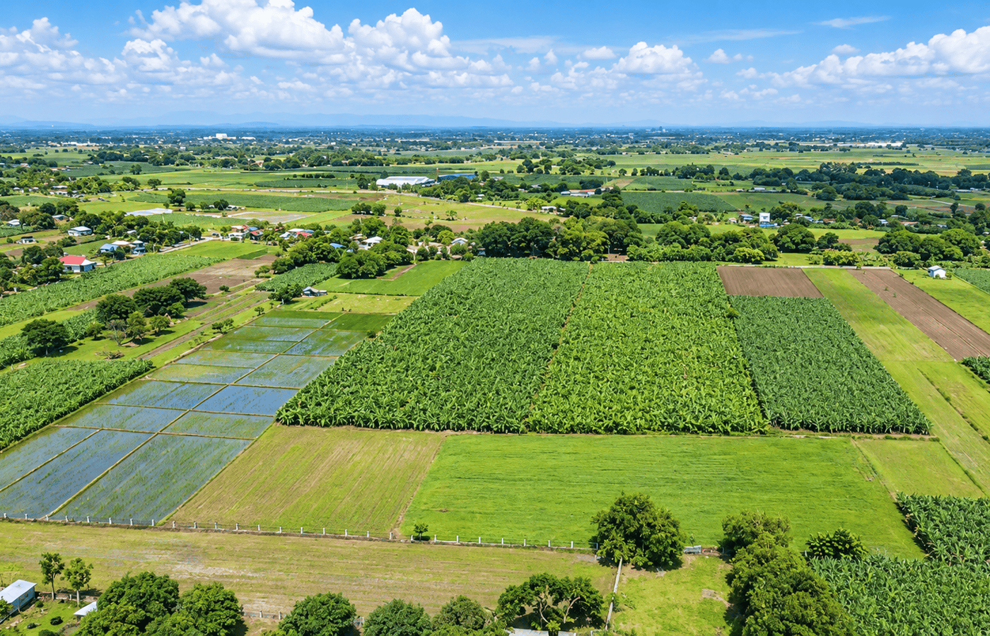 Lot for Sale in Pura, Tarlac