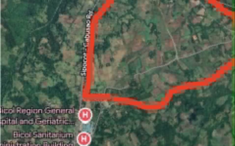 29.65-Hectare Prime Land for Sale – Cabusao, Camarines Sur | Main Road Frontage