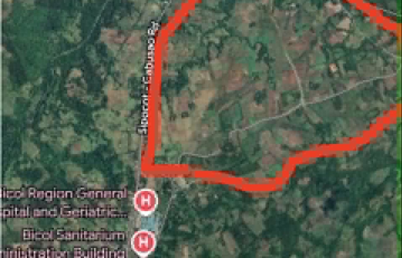 29.65-Hectare Prime Land for Sale – Cabusao, Camarines Sur | Main Road Frontage