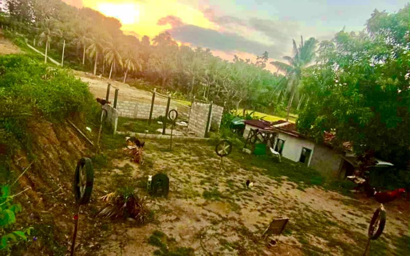 234 sqm Corner Lot for Sale – Padre Burgos, Quezon | ₱600K Negotiable