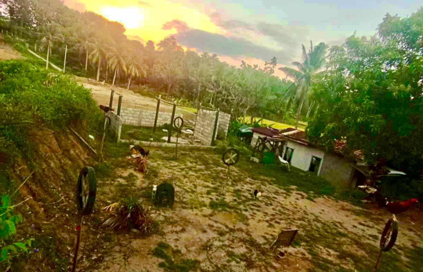 234 sqm Corner Lot for Sale – Padre Burgos, Quezon | ₱600K Negotiable
