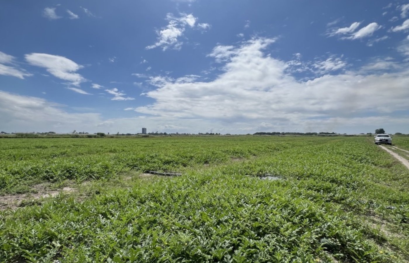 Photo 3 of 6 — Agricultural lot for sale, Mexico
